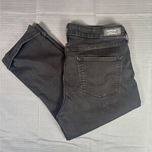 Signature by Levi Strauss & Co. Modern Capri Pants – Black – Women’s Size 16